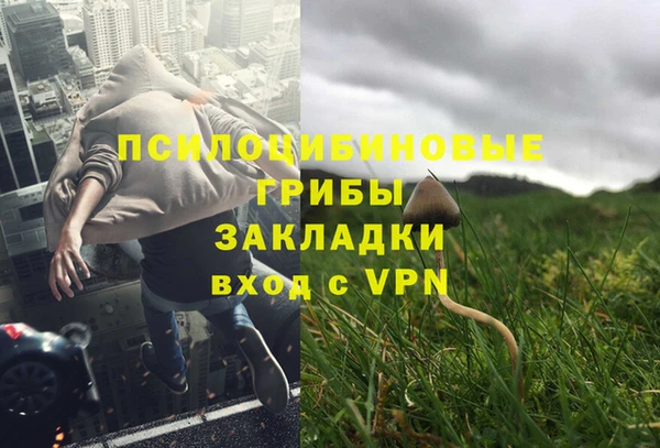каннабис Аркадак