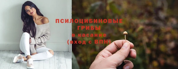 ALPHA-PVP Армянск