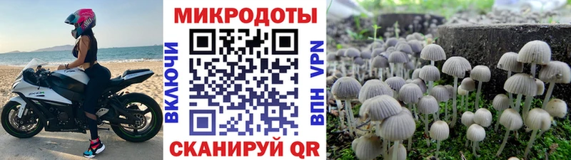 Галлюциногенные грибы Psilocybine cubensis  гидра зеркало  Реж 